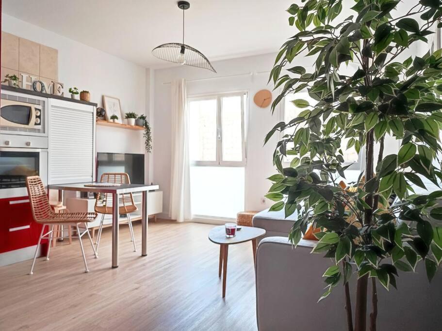 Vacational Dreams Apartment Santa Cruz de Tenerife Exterior photo